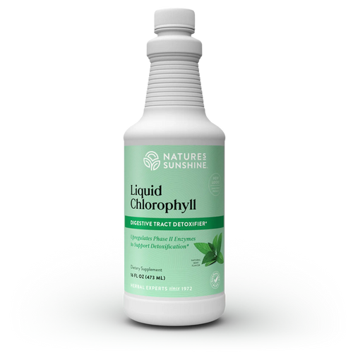 Liquid Chlorophyll 16 FL OZ