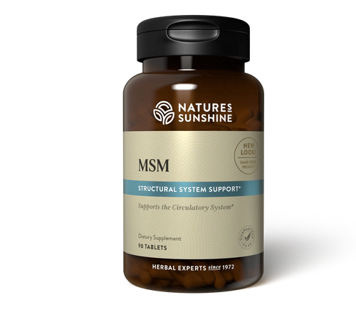 MSM NATURE SUNSHINE 90CT