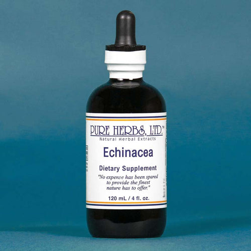 ECHINACEA PURE HERBS 4OZ