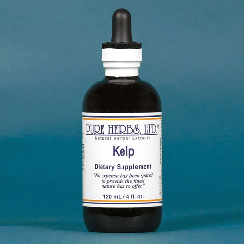 KELP PURE HERBS 4OZ