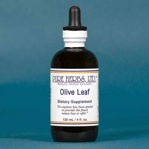 OLIVE LEAF PURE HERBS 4OZ