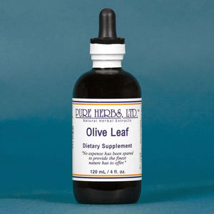 OLIVE LEAF PURE HERBS 4OZ