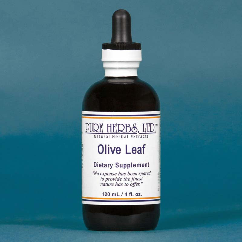 OLIVE LEAF PURE HERBS 4OZ