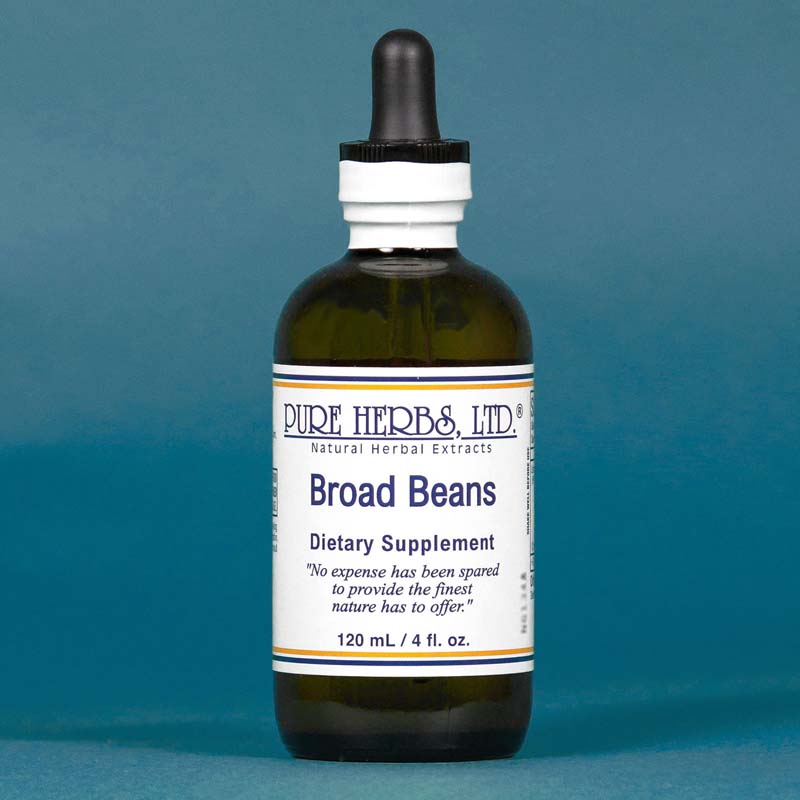 BROAD BEANS PURE HERBS 4OZ