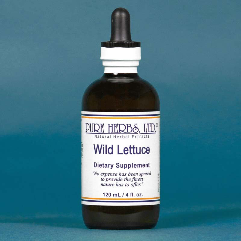 WILD LETTUCE EXTRACT PURE HERBS 4OZ